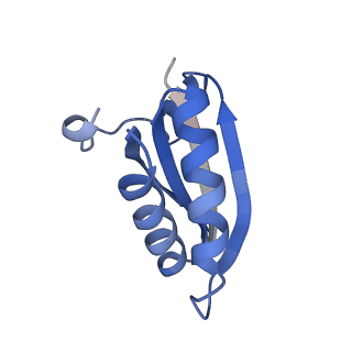 20207_6owg_AA_v1-2
Structure of a synthetic beta-carboxysome shell, T=4