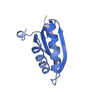 20207_6owg_AA_v1-3
Structure of a synthetic beta-carboxysome shell, T=4