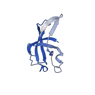 20207_6owg_AB_v1-2
Structure of a synthetic beta-carboxysome shell, T=4