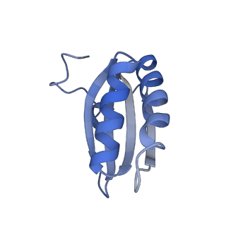 20207_6owg_AC_v1-2
Structure of a synthetic beta-carboxysome shell, T=4