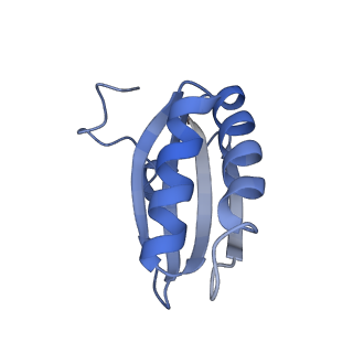 20207_6owg_AC_v1-3
Structure of a synthetic beta-carboxysome shell, T=4