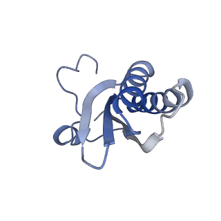 20207_6owg_AD_v1-2
Structure of a synthetic beta-carboxysome shell, T=4