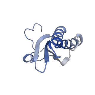 20207_6owg_AD_v1-3
Structure of a synthetic beta-carboxysome shell, T=4