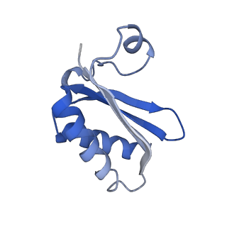 20207_6owg_AE_v1-2
Structure of a synthetic beta-carboxysome shell, T=4