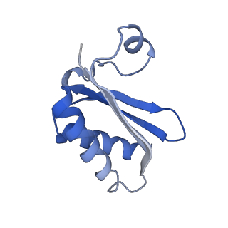 20207_6owg_AE_v1-3
Structure of a synthetic beta-carboxysome shell, T=4