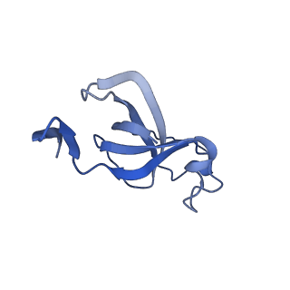 20207_6owg_AF_v1-2
Structure of a synthetic beta-carboxysome shell, T=4
