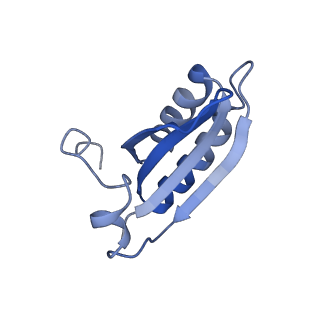 20207_6owg_AG_v1-2
Structure of a synthetic beta-carboxysome shell, T=4