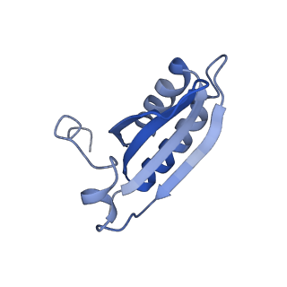 20207_6owg_AG_v1-3
Structure of a synthetic beta-carboxysome shell, T=4