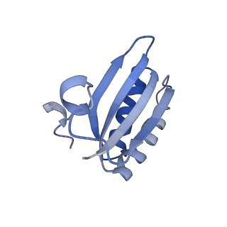 20207_6owg_AH_v1-2
Structure of a synthetic beta-carboxysome shell, T=4