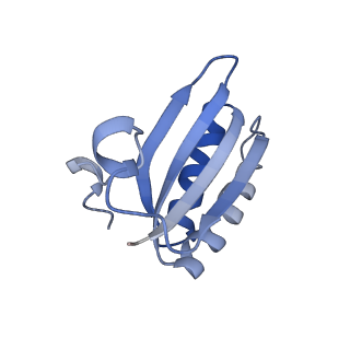 20207_6owg_AH_v1-3
Structure of a synthetic beta-carboxysome shell, T=4