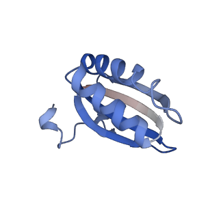 20207_6owg_AI_v1-2
Structure of a synthetic beta-carboxysome shell, T=4