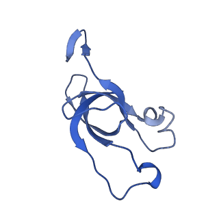 20207_6owg_AJ_v1-3
Structure of a synthetic beta-carboxysome shell, T=4