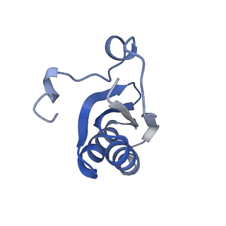 20207_6owg_AK_v1-2
Structure of a synthetic beta-carboxysome shell, T=4