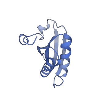 20207_6owg_AL_v1-2
Structure of a synthetic beta-carboxysome shell, T=4