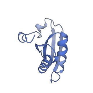 20207_6owg_AL_v1-3
Structure of a synthetic beta-carboxysome shell, T=4