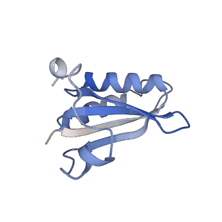 20207_6owg_AM_v1-2
Structure of a synthetic beta-carboxysome shell, T=4