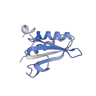 20207_6owg_AM_v1-3
Structure of a synthetic beta-carboxysome shell, T=4