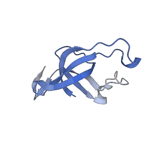 20207_6owg_AN_v1-2
Structure of a synthetic beta-carboxysome shell, T=4
