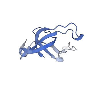 20207_6owg_AN_v1-3
Structure of a synthetic beta-carboxysome shell, T=4