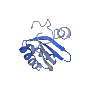 20207_6owg_AO_v1-2
Structure of a synthetic beta-carboxysome shell, T=4