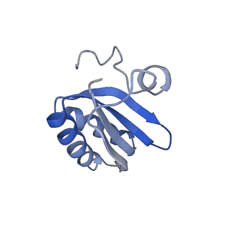 20207_6owg_AO_v1-3
Structure of a synthetic beta-carboxysome shell, T=4