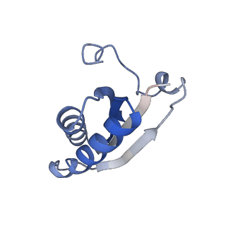 20207_6owg_AP_v1-2
Structure of a synthetic beta-carboxysome shell, T=4