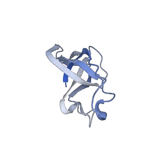 20207_6owg_AR_v1-2
Structure of a synthetic beta-carboxysome shell, T=4