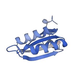 20207_6owg_AS_v1-2
Structure of a synthetic beta-carboxysome shell, T=4