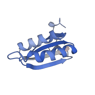 20207_6owg_AS_v1-3
Structure of a synthetic beta-carboxysome shell, T=4