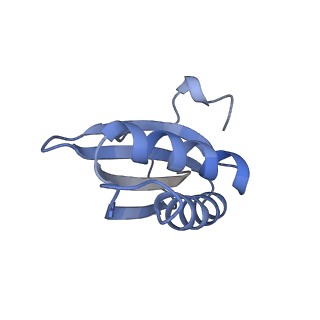 20207_6owg_AT_v1-2
Structure of a synthetic beta-carboxysome shell, T=4