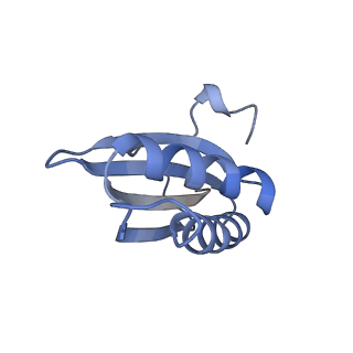 20207_6owg_AT_v1-3
Structure of a synthetic beta-carboxysome shell, T=4