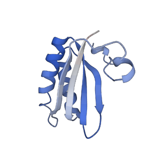 20207_6owg_AU_v1-2
Structure of a synthetic beta-carboxysome shell, T=4