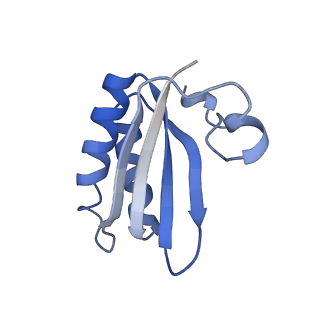 20207_6owg_AU_v1-3
Structure of a synthetic beta-carboxysome shell, T=4