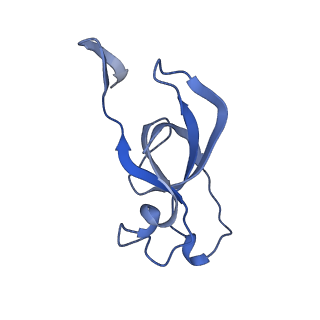 20207_6owg_AV_v1-2
Structure of a synthetic beta-carboxysome shell, T=4