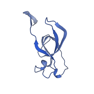 20207_6owg_AV_v1-3
Structure of a synthetic beta-carboxysome shell, T=4