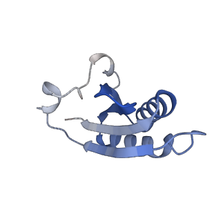 20207_6owg_AW_v1-2
Structure of a synthetic beta-carboxysome shell, T=4