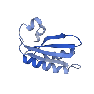 20207_6owg_AX_v1-2
Structure of a synthetic beta-carboxysome shell, T=4