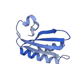 20207_6owg_AX_v1-3
Structure of a synthetic beta-carboxysome shell, T=4