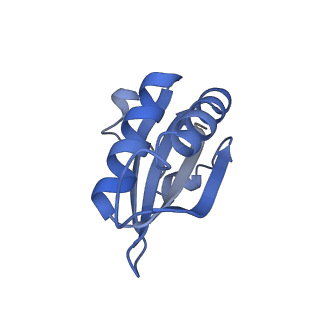 20207_6owg_AY_v1-2
Structure of a synthetic beta-carboxysome shell, T=4