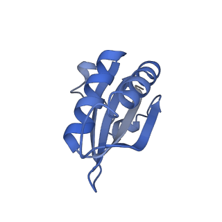 20207_6owg_AY_v1-3
Structure of a synthetic beta-carboxysome shell, T=4