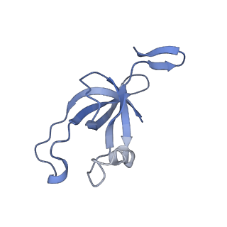 20207_6owg_AZ_v1-2
Structure of a synthetic beta-carboxysome shell, T=4