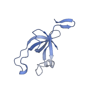 20207_6owg_AZ_v1-3
Structure of a synthetic beta-carboxysome shell, T=4