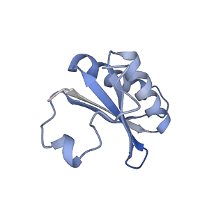 20207_6owg_A_v1-2
Structure of a synthetic beta-carboxysome shell, T=4