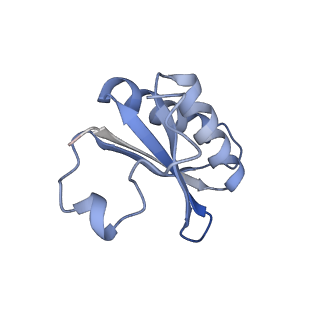 20207_6owg_A_v1-3
Structure of a synthetic beta-carboxysome shell, T=4