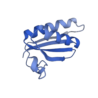 20207_6owg_B1_v1-2
Structure of a synthetic beta-carboxysome shell, T=4