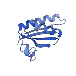 20207_6owg_B1_v1-3
Structure of a synthetic beta-carboxysome shell, T=4