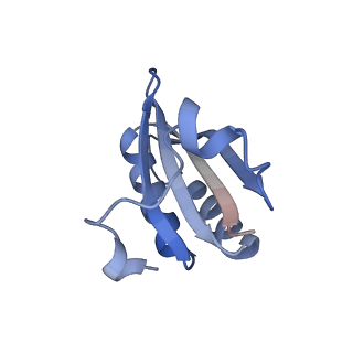 20207_6owg_B2_v1-2
Structure of a synthetic beta-carboxysome shell, T=4