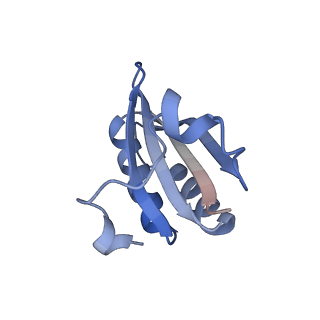 20207_6owg_B2_v1-3
Structure of a synthetic beta-carboxysome shell, T=4