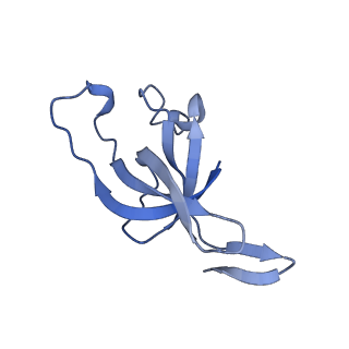 20207_6owg_B3_v1-2
Structure of a synthetic beta-carboxysome shell, T=4
