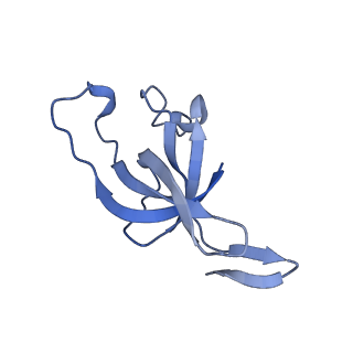 20207_6owg_B3_v1-3
Structure of a synthetic beta-carboxysome shell, T=4